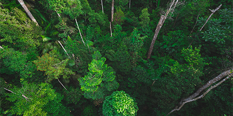 CEQA Document Filing Fees Increase for 2022