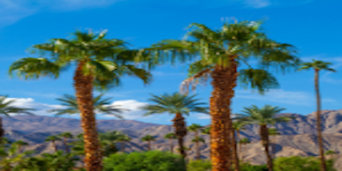 BB&K Partners Named Coachella Valley Top Lawyers for 2020
