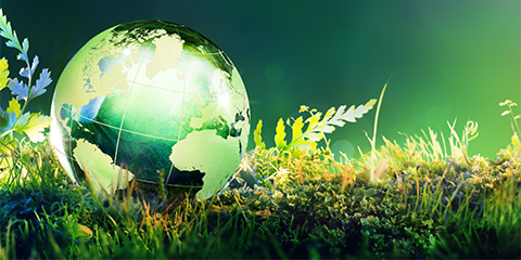 White House Council on Environmental Quality Finalizes First Phase of NEPA Regulation Revisions