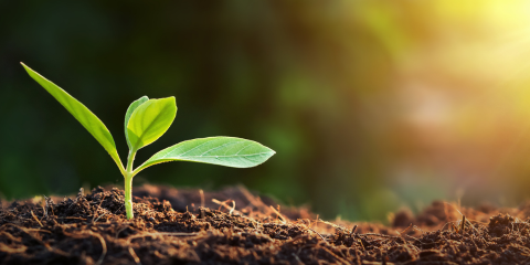 Best Best & Krieger Ranked in Chambers USA 2023 Guide for Environment in California