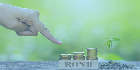 Using Green Bonds to get Environmentally Driven Investors