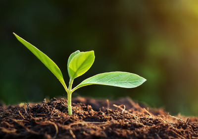 Environmental Law & Natural Resources