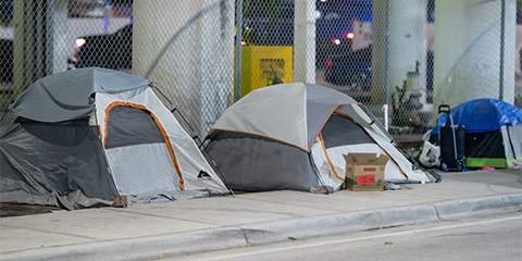 Ninth Circuit Revisits and Clarifies the Reach of Martin v. City of Boise