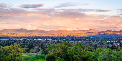 Walnut Creek Office