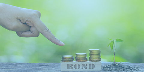 Using Green Bonds to get Environmentally Driven Investors thumbnail