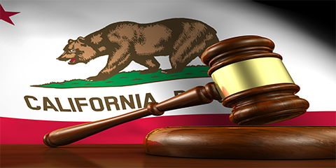 New Year, New Laws Impacting Public Agencies in California – Part I thumbnail