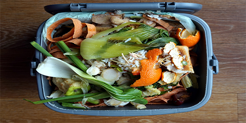 Relief for California Local Jurisdictions Unable to Meet Deadline to Implement Organic Waste Diversion Regulations thumbnail