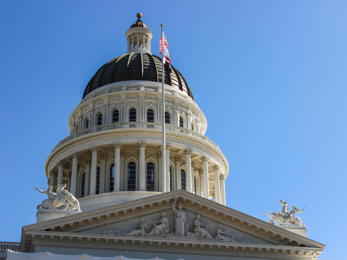 PublicCEO: Public Agency Laws